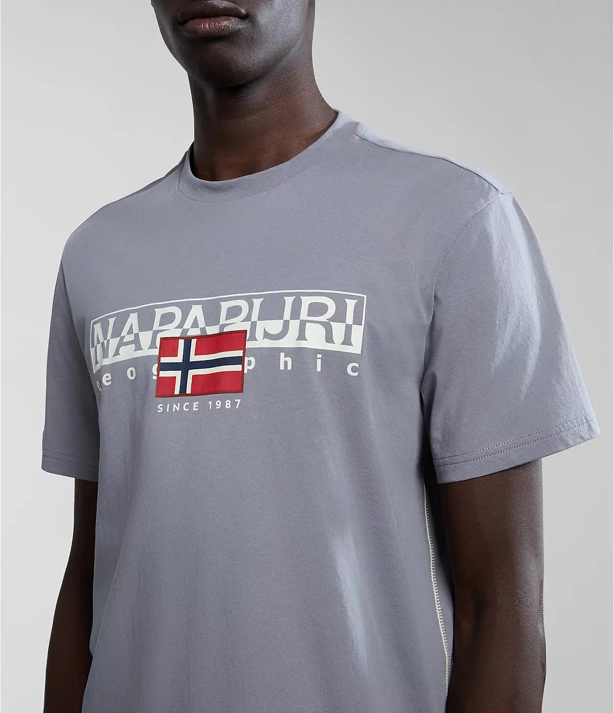 Napapijri Aylmer T-shirt Grey Owl - RD1 Clothing