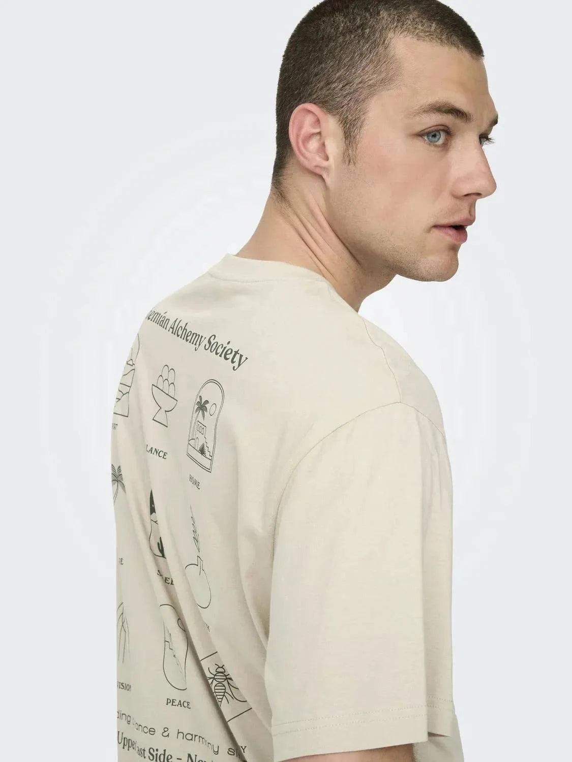 Only & Sons Kason Relax Print T-Shirt Silver Lining - RD1 Clothing