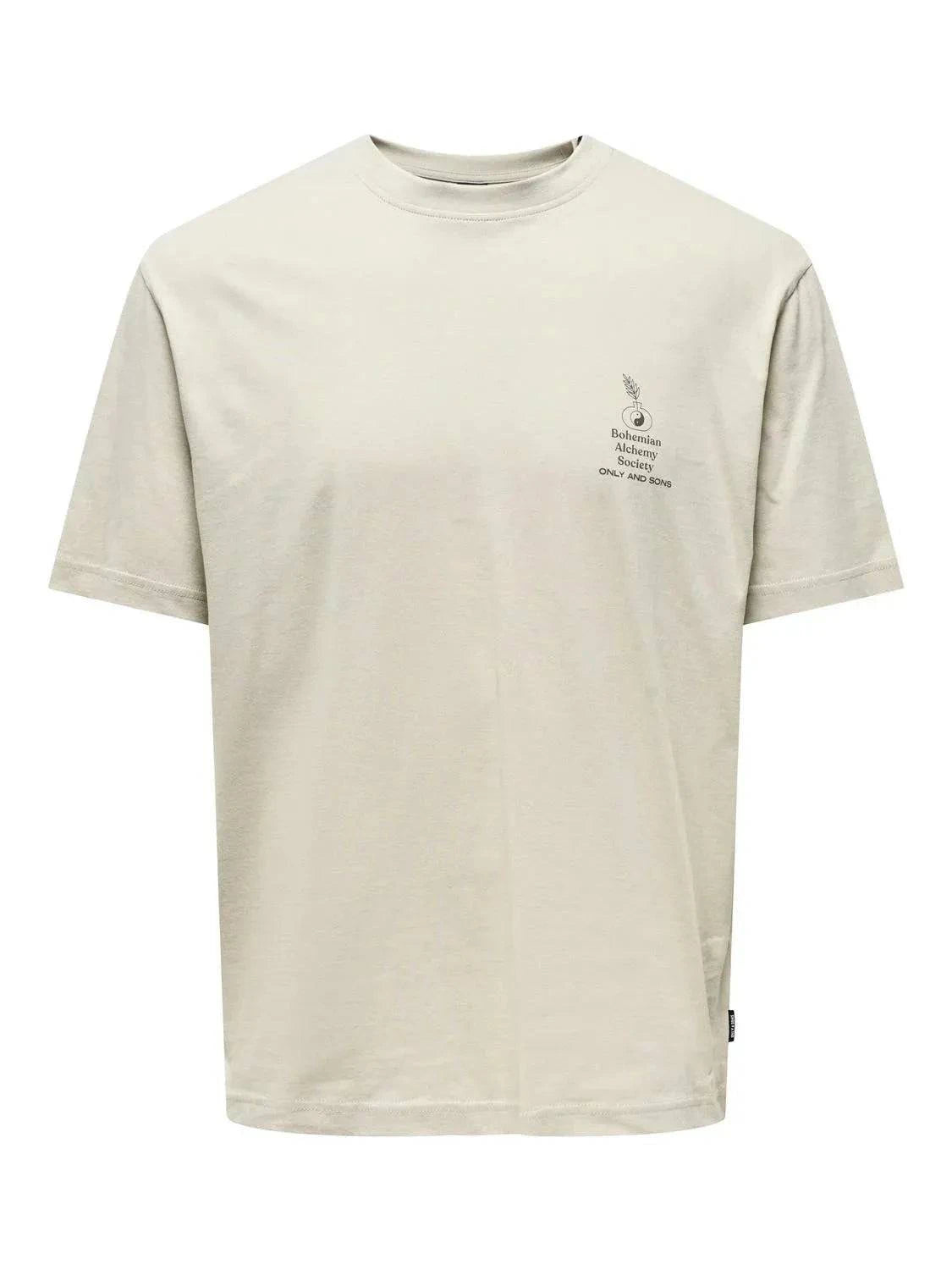 Only & Sons Kason Relax Print T-Shirt Silver Lining - RD1 Clothing