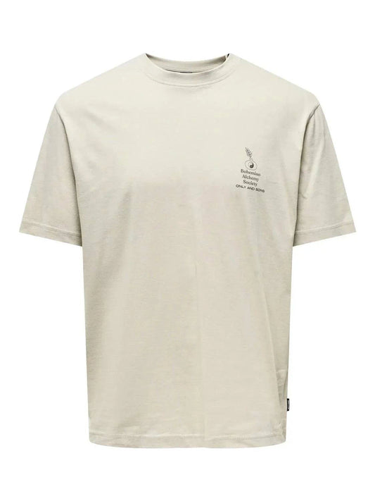 Only & Sons Kason Relax Print T-Shirt Silver Lining - RD1 Clothing