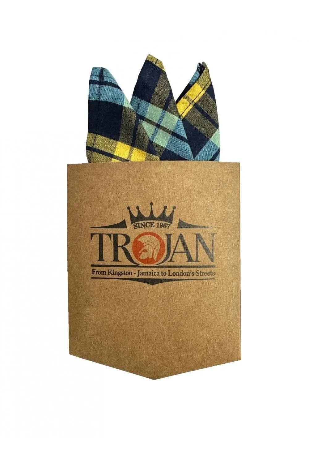 ojan Windowpane Check S/S B/D Shirt In Navy